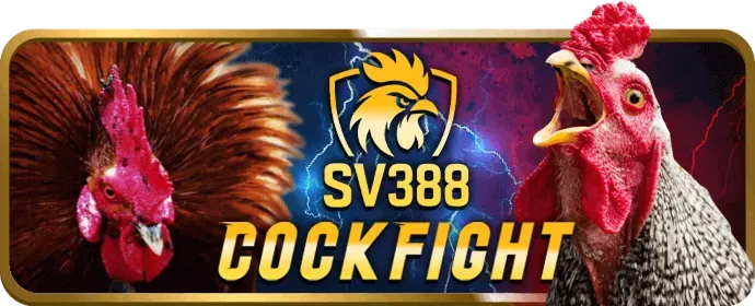 Các lợi ích khi chơi đá gà tại s999 app